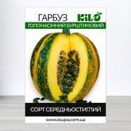 Насіння гарбуза Голонасінні, 100г